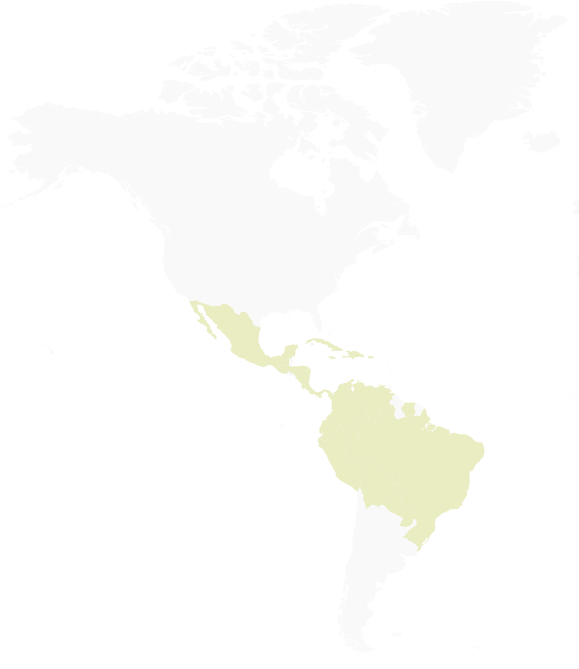 Lavazza Firma | Espresso Intensity 7/13 Qualità Oro x 48