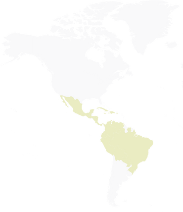 Lavazza Firma | Espresso Intensity 7/13 Qualità Oro x 48