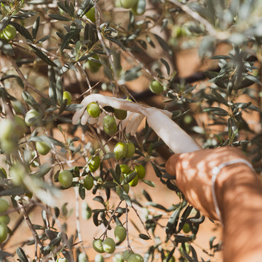 5 liter TIN BLEND – “ANGELO CORALLO”